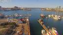 ./images/victoria/wharf/20190317/wharf20190317_125955.jpg