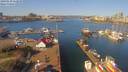 ./images/victoria/wharf/20190318/wharf20190318_112950.jpg