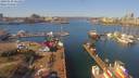 ./images/victoria/wharf/20190318/wharf20190318_121452.jpg