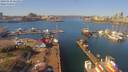 ./images/victoria/wharf/20190318/wharf20190318_121952.jpg