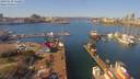 ./images/victoria/wharf/20190318/wharf20190318_122953.jpg