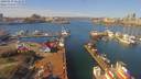 ./images/victoria/wharf/20190319/wharf20190319_121949.jpg