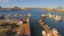 ./images/victoria/wharf/20190320/wharf20190320_114953.jpg