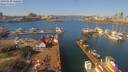 ./images/victoria/wharf/20190320/wharf20190320_120454.jpg