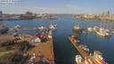 ./images/victoria/wharf/20190321/wharf20190321_115950.jpg