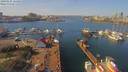 ./images/victoria/wharf/20190321/wharf20190321_124952.jpg