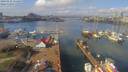 ./images/victoria/wharf/20190322/wharf20190322_114453.jpg