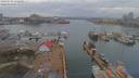 ./images/victoria/wharf/20190322/wharf20190322_171458.jpg