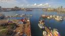 ./images/victoria/wharf/20190328/wharf20190328_122951.jpg