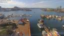 ./images/victoria/wharf/20190401/wharf20190401_143956.jpg
