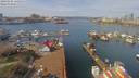 ./images/victoria/wharf/20190402/wharf20190402_115952.jpg