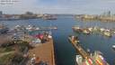 ./images/victoria/wharf/20190402/wharf20190402_120953.jpg