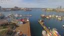 ./images/victoria/wharf/20190402/wharf20190402_121453.jpg