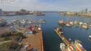 ./images/victoria/wharf/20190402/wharf20190402_122453.jpg