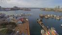 ./images/victoria/wharf/20190402/wharf20190402_131455.jpg