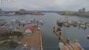 ./images/victoria/wharf/20190402/wharf20190402_152451.jpg