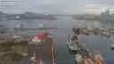 ./images/victoria/wharf/20190403/wharf20190403_074955.jpg