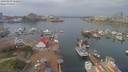 ./images/victoria/wharf/20190403/wharf20190403_112453.jpg