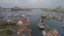 ./images/victoria/wharf/20190403/wharf20190403_115454.jpg