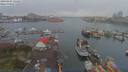 ./images/victoria/wharf/20190403/wharf20190403_121455.jpg
