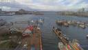 ./images/victoria/wharf/20190403/wharf20190403_135450.jpg