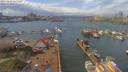 ./images/victoria/wharf/20190403/wharf20190403_135950.jpg