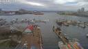 ./images/victoria/wharf/20190403/wharf20190403_143951.jpg