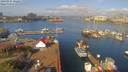 ./images/victoria/wharf/20190404/wharf20190404_102454.jpg