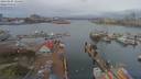 ./images/victoria/wharf/20190405/wharf20190405_124455.jpg