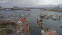 ./images/victoria/wharf/20190405/wharf20190405_131956.jpg