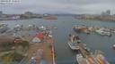 ./images/victoria/wharf/20190405/wharf20190405_150950.jpg
