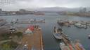 ./images/victoria/wharf/20190406/wharf20190406_074459.jpg