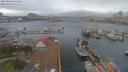 ./images/victoria/wharf/20190406/wharf20190406_082450.jpg