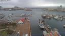 ./images/victoria/wharf/20190406/wharf20190406_084951.jpg