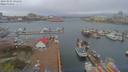 ./images/victoria/wharf/20190406/wharf20190406_091952.jpg