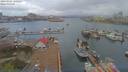 ./images/victoria/wharf/20190406/wharf20190406_100954.jpg