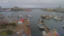 ./images/victoria/wharf/20190406/wharf20190406_122458.jpg