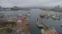 ./images/victoria/wharf/20190406/wharf20190406_125950.jpg