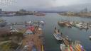 ./images/victoria/wharf/20190406/wharf20190406_131450.jpg
