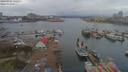 ./images/victoria/wharf/20190406/wharf20190406_132451.jpg