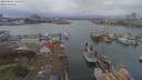 ./images/victoria/wharf/20190406/wharf20190406_135452.jpg