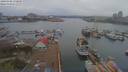 ./images/victoria/wharf/20190406/wharf20190406_170949.jpg