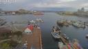 ./images/victoria/wharf/20190408/wharf20190408_084449.jpg