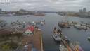 ./images/victoria/wharf/20190408/wharf20190408_111454.jpg