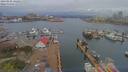 ./images/victoria/wharf/20190408/wharf20190408_142451.jpg