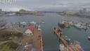 ./images/victoria/wharf/20190408/wharf20190408_144952.jpg