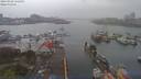 ./images/victoria/wharf/20190408/wharf20190408_151953.jpg