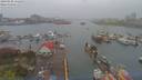 ./images/victoria/wharf/20190408/wharf20190408_152453.jpg