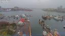 ./images/victoria/wharf/20190408/wharf20190408_152953.jpg