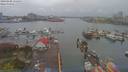 ./images/victoria/wharf/20190408/wharf20190408_154954.jpg